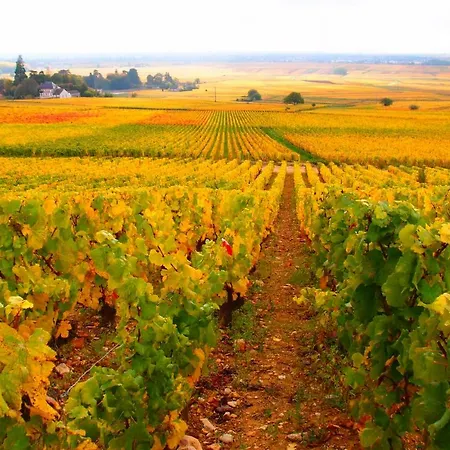 S'house Beaune (Cote d'Or)