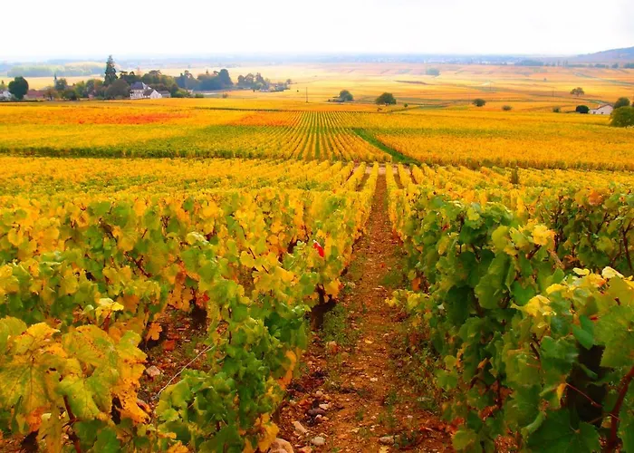 S'house Beaune (Cote d'Or)