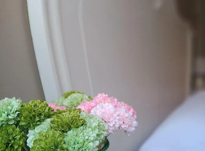 S'house * Beaune (Cote d'Or)